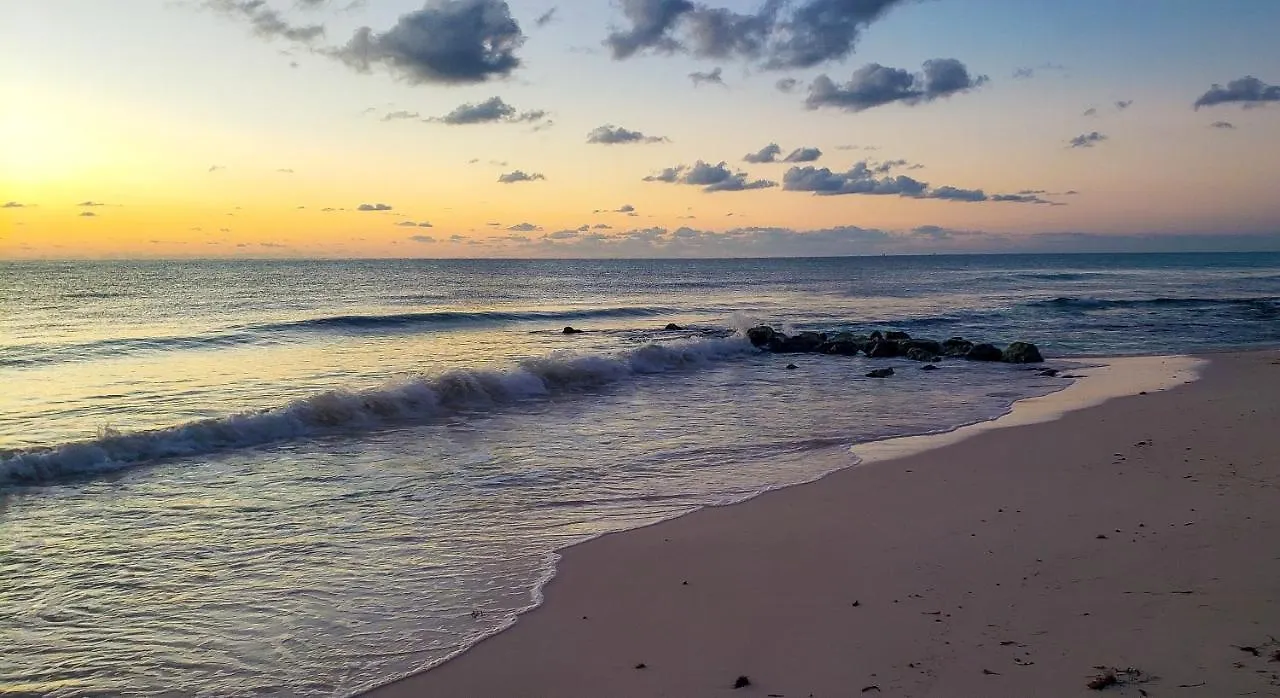 Senses Riviera Maya - Ocean Front Boutique Hotel - Adults Only Punta Maroma